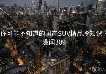 你可能不知道的国产SUV精品冷知识 · 趣闻309