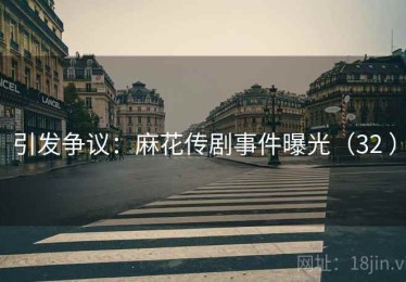 引发争议：麻花传剧事件曝光（32 ）