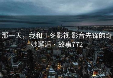 那一天，我和丁冬影视 影音先锋的奇妙邂逅 · 故事772