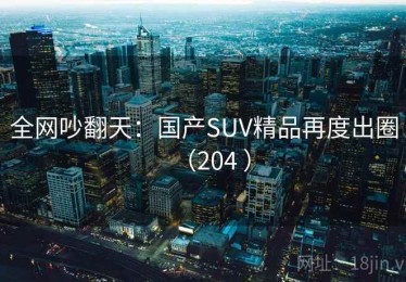 全网吵翻天：国产SUV精品再度出圈（204 ）