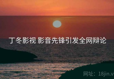 丁冬影视 影音先锋引发全网辩论