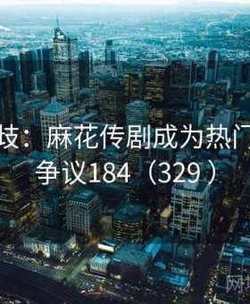 意见分歧：麻花传剧成为热门话题 · 争议184（329 ）