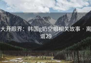 大开眼界：韩国g奶空姐相关故事 · 离谱29