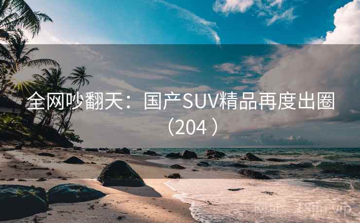 全网吵翻天：国产SUV精品再度出圈（204 ）